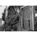 수산리-8 이미지