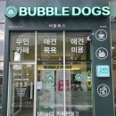 버블독스별내역점