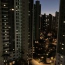 매교역팰루시드공인중개사사무소 이미지