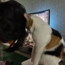 (주)혜우 | 2026. 01.