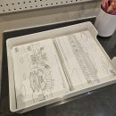 연필풍경스케치 (중급) | 여유당 정약용생가 어반스케치 3회차 봄날 야외스케치