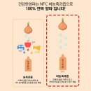 끓이지않은 생양파 그대로 건강을 담은 양파즙♡맥널티 건강한 양파(하얀 양파)로 건강챙겨 보아요