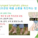 알츠하이머 치매, 파킨슨병을 예방하고 진행을 지연시키는 방법 ​ ​ 이미지