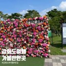 엘리야리조트 | 강화도 여행 강화 루지 내돈내산 마니산 엘리야 리조트 방문 후기