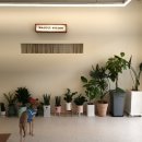 와글리테일 이미지