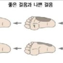 팔로우짐 이미지