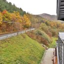 어울림펜션민박 이미지