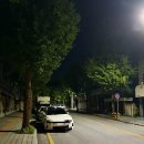 한광여자중학교 | &lt;평택카페,비전동카페&gt;분위기있는카페 와일드그라스