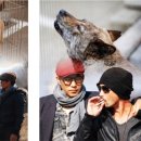 우리들애견 이미지