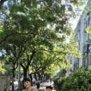 월드관광호텔 - 평택시 국제로 117 | 베이징 자유여행 숙소 추천: 왕푸징 선월드 호텔(Sunworld Hotel) 솔직 후기