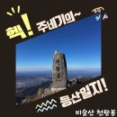 논공중앙시장 | BAC100 [비슬산 천왕봉] 유가사주차장-천왕봉 원점회귀 (12/100)