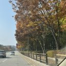 남도소머리국밥 - 전주시 덕진구 기린대로 400-29 | 남도소머리국밥