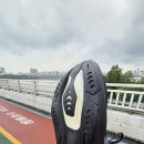 솔이기획 | 아식스 노바블라스트6 2E 구매 및 착화 후기 : 크림에서 구매