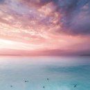 (주)새론바이오 이미지