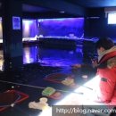 킹콩 실내낚시터 이미지