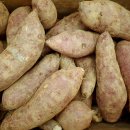 신해남농장 이미지