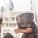 펫더헤븐 이미지