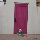 컴페니언바이주문진 이미지