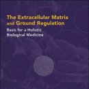 Extracellular Matrix and Ground Regulation 이미지