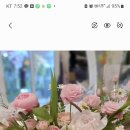 풀빛스튜디오