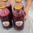 (주) 포도스튜디오 네이버블로그