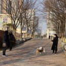 고양문화원 이미지