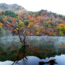 10/28(금요무박) 주왕산[100명산] 3대 단풍명소 최절정 단풍+주산지 산행 안내 공지 이미지