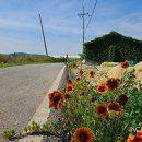 서검리선착장 이미지