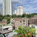 중앙동245 이미지