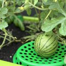 케어하우스 이미지