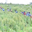 바람에 언덕 이미지