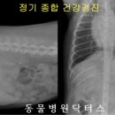 닥터스종합동물병원 이미지