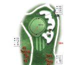 노스팜CC Daum카페