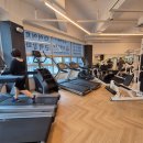 인투더짐 이미지