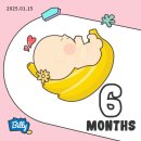 창수중기 | 👶🏻임신 19~21주차 일상 :: 입덧 끝 속쓰림 시작, 생일주간💕
