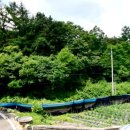 홍영노인전문병원 이미지