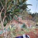 금량농장 이미지