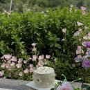 갤러리가덕 이미지