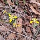 운화농장 | 장성 서삼면 주변 산들