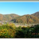 도덕보건진료소 이미지