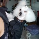 짱가농장 이미지