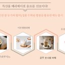 미스터피자신제주점 이미지