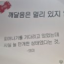 작은집컴퍼니 | 용산 아이파크몰 도파민스테이션 해탈컴퍼니 아미울 불교팝업 방문(굿즈, 운영시간, 체험) 후기