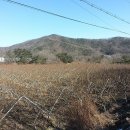 사래실천 이미지