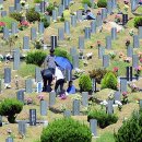 공설묘지 이미지