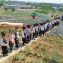 위즈캐슬 이미지