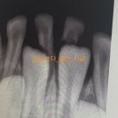 세은치과의원 이미지