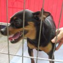 김정복 동물병원 이미지