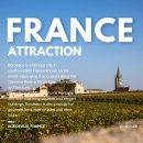 정평지구2 | 남프랑스 보르도 와이너리 투어 생떼밀리옹 예약 3곳 내돈내산 후기