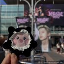 무궁화체육관 | 엑디즈 팬미팅 XCLUSIVE PARTY 첫콘 후기(엠디 굿즈 팬즈 대기, 셋리스트, 화정체육관 발롯코 1열)